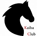 Kaiba Club